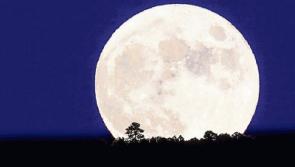 Limerick astronomy column - The Moon