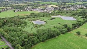 Limerick village rolls out plans for ambitious 40-acre park 