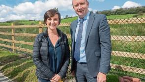 Work to upgrade Limerick greenway continues