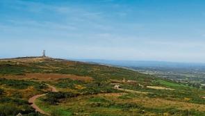 Out in the Open: Mauraduing Yanks in search of their folks