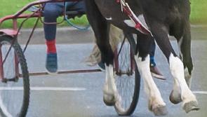 Gardai urged to rein in children on sulkies as Limerick town turns into ‘Wild West’