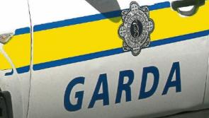 Domestic violence incidents in county Limerick district have doubled in a year, say gardai