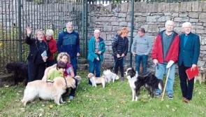 Oh my Dog! Blessed are the beloved pets in Limerick