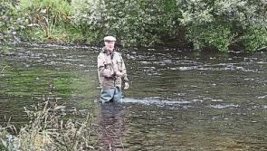 Pesticide exceedances continue in rivers supplying water to major Limerick towns
