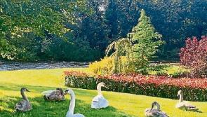 Out in the Open: Victimised: the people who dread indoor loos