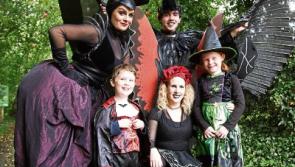 Boo! Limerick people prepare for fantastic Halloween frights