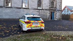 Man sentenced in county Limerick court&nbsp;after spate of thefts around Munster&nbsp; 
