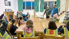 Wild About Wildlife: Murroe Beavers discover bats