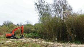 Residents on outskirts of Limerick city fight for green space as zoning row rumbles on    