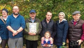 Wild About Wildlife: Life in the leaf litter
