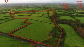 Possible Limerick business interest in farmland auction this Friday