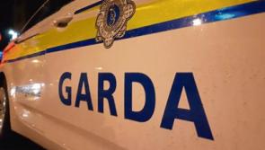 Suspected member of organised crime group arrested by Limerick gardai