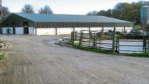 ‘God willing’ someone will take over lease from monks on Glenstal farm