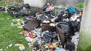 Fury over rubbish dumping in Limerick town close to children's playground