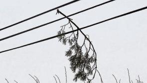 Thousands without power in Limerick as Storm Atiyah hits West coast