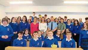 TD to court Drew Harris on replacing sergeant in busy county Limerick district