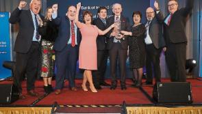 Joy for Limerick towns in Enterprise and Pride of Place awards