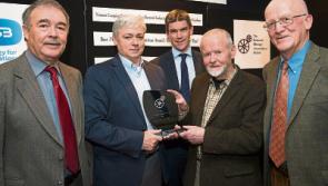 Limerick boat restoration team wins accolade