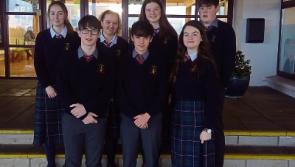 BTYSE: County Limerick school boasts three entries in Young Scientist exhibition