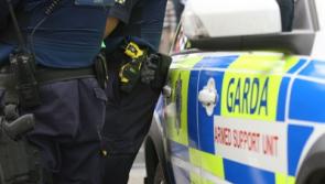 Cash and drugs seized during searches of Limerick homes