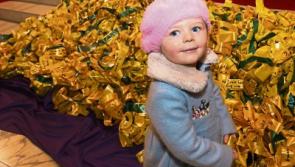 Remembrance Tree: Over €190,000 raised for Limerick charities 