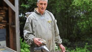 Glenstal monk tells how he fell into a&nbsp;&lsquo;dark hole&rsquo; of depression and got out