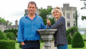 Taste the history: Summer event proposed for lavish Limerick castle