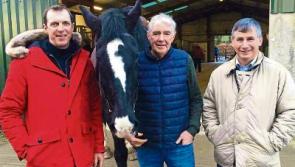 Limerick farm gets spotlight feature on RTE documentary