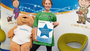Call out for volunteers in Limerick to help make children's wishes come true