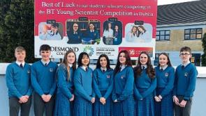 BTYSE: Desmond College is head and ‘shoulders’ above the competition