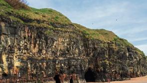 Out in the Open: How a bitter bachelor finally met his match