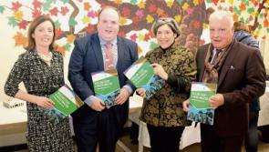 Limerick’s young people tell it like it is in new survey 