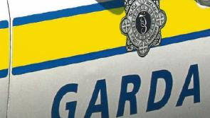 Alert neighbour thwarts attempted theft from Limerick farm yard 