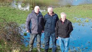 ‘I’m feeling sick with worry’:  Déjà vu for Limerick flood victims