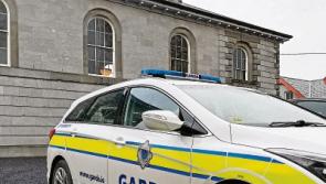 Man who drove at high speed through Limerick village was already banned