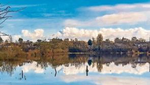 Out in the Open: No, I don’t begrudge moochers their dole