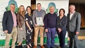 County Limerick village's playground wins national award