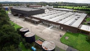 Production halts for now at Limerick film studio 