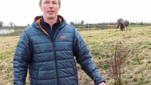 Autistic boy electrocuted by illegally constructed fence in Limerick business park