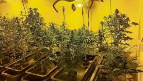 Man arrested and charged following discovery of cannabis grow house