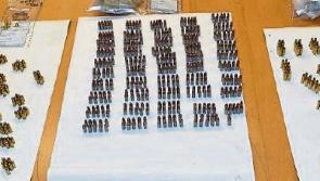 Significant quantity of ammunition found in woodlands near Limerick / Tipperary border