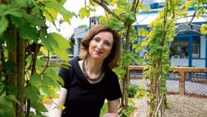 Limerick cycle campaign urges people to have their say on strategy