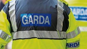 Limerick Gardai warning over bogus callers