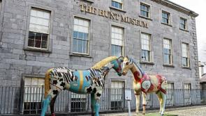 Limerick museum could accomodate Covid-19 memorial