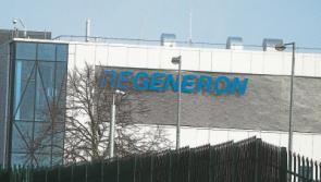 Limerick firm announces its antibody can treat Covid-19 in animals