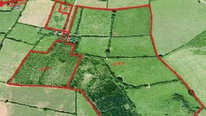 Businessman snatches up Limerick farm land at auction 