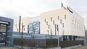Limerick criminal jailed over ‘concerted campaign’ of harassment against his ex