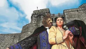 Limerick Panto Society cancels Christmas shows due to Covid-19