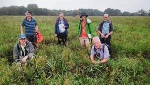 Wild About Wildlife: Flowering at the end of the world - Albert Nolan