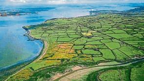 Author retraces nostalgic journey along Limerick’s River Shannon